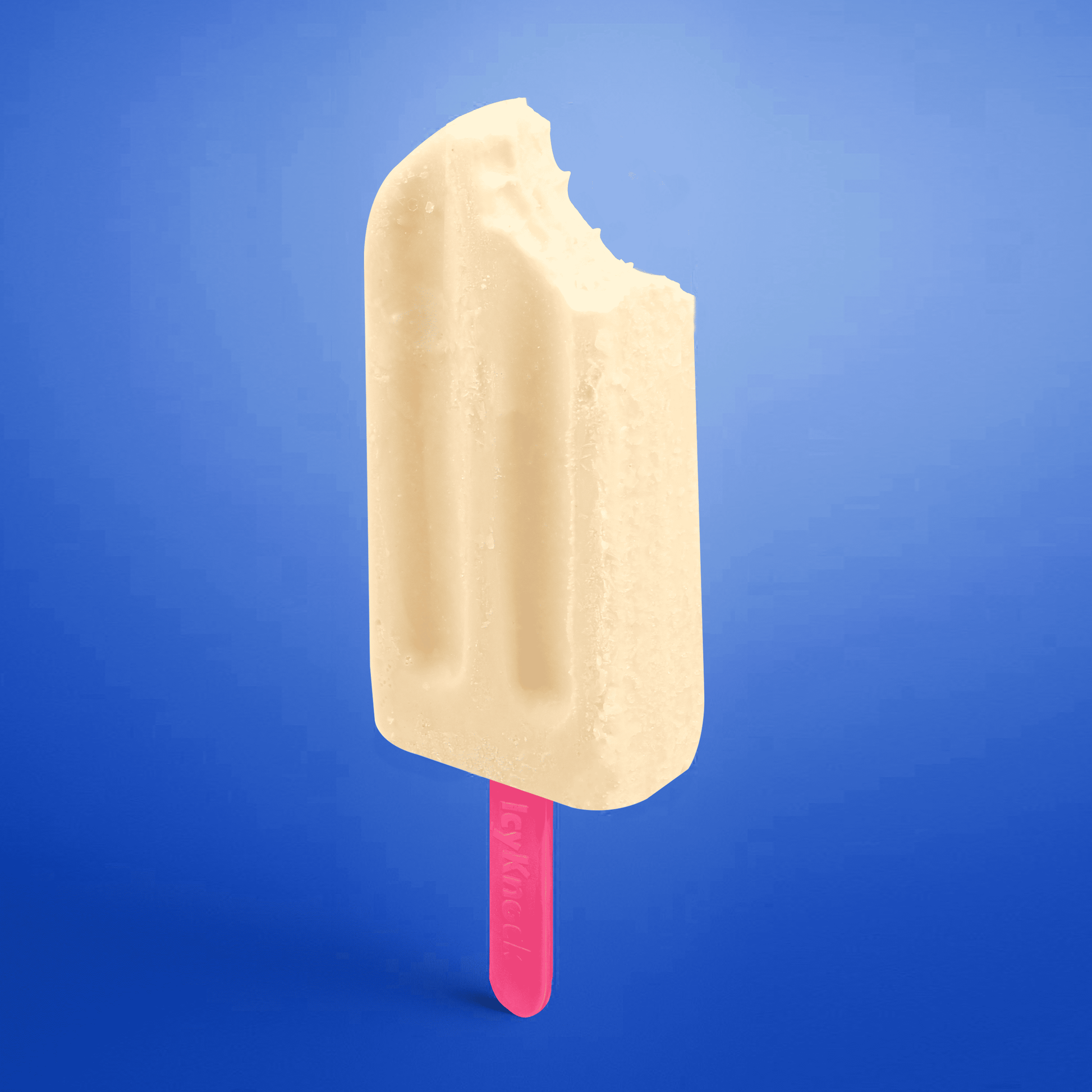 Coconut Dreamscape